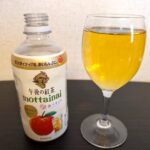 午後の紅茶mottainaiふじりんごティー飲んでみた口コミレビュー